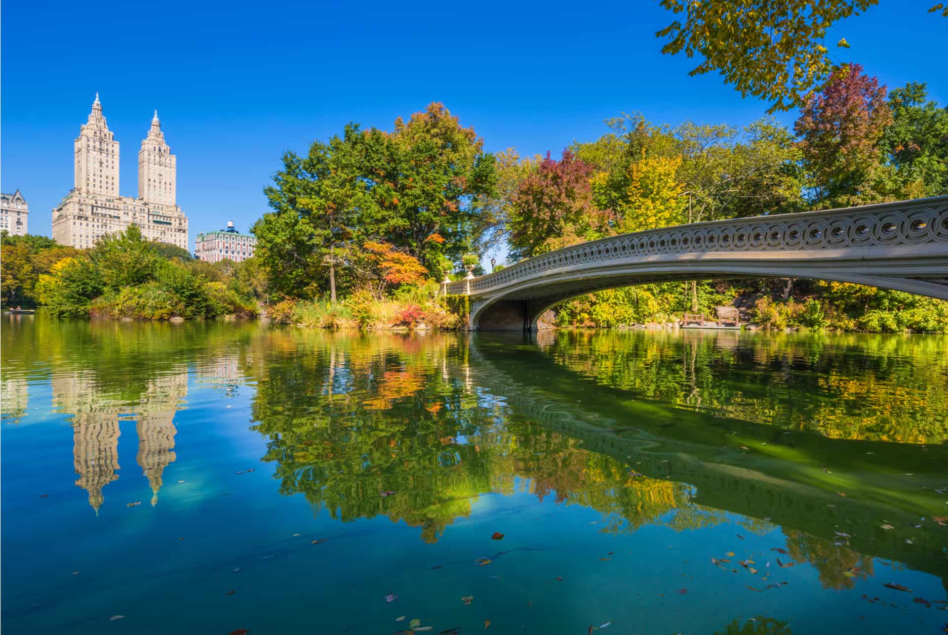 central park en juillet central park ete