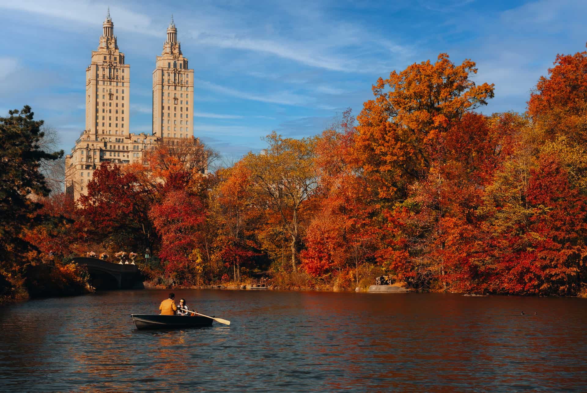 ny automne ny automne
