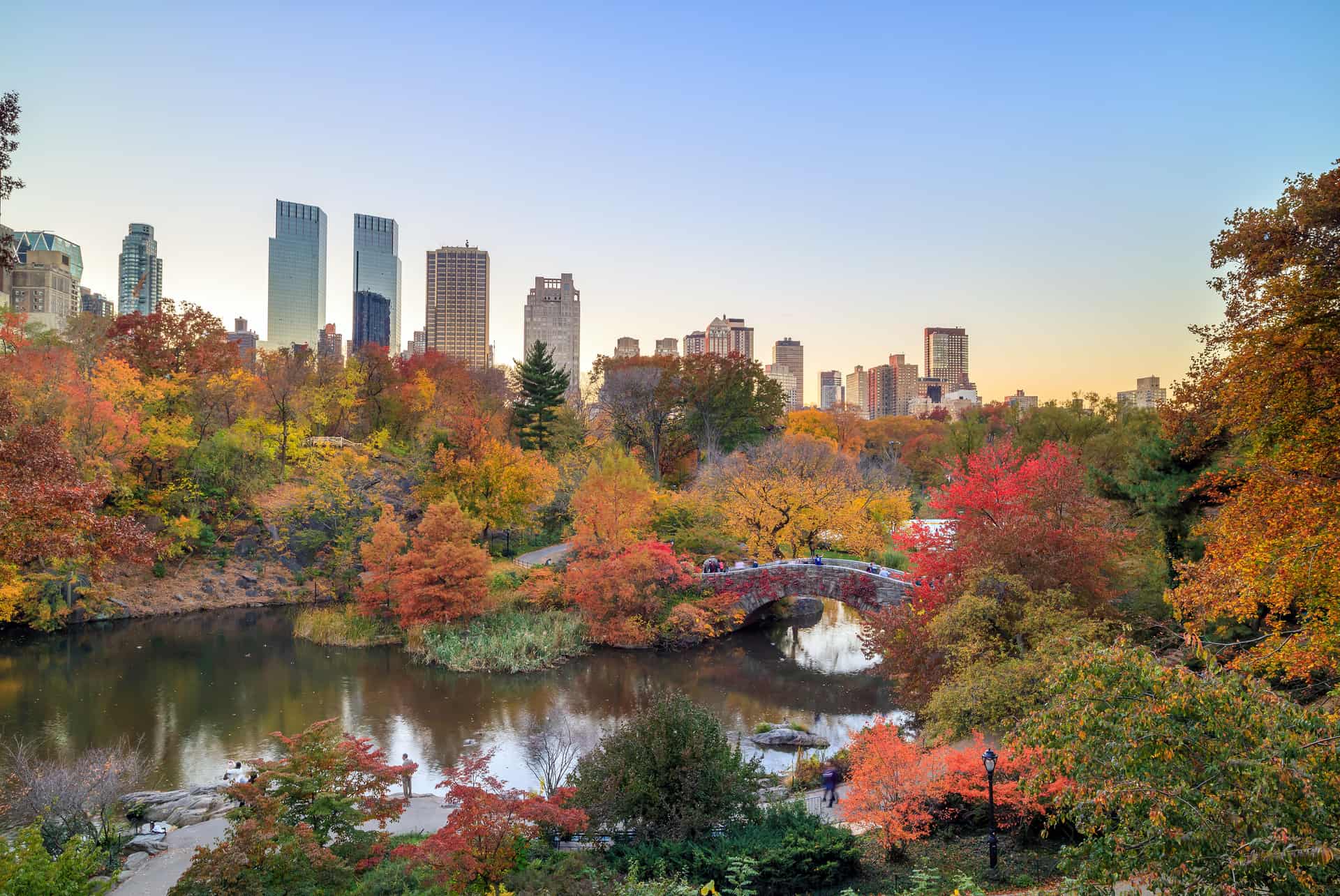 octobre central park octobre central park