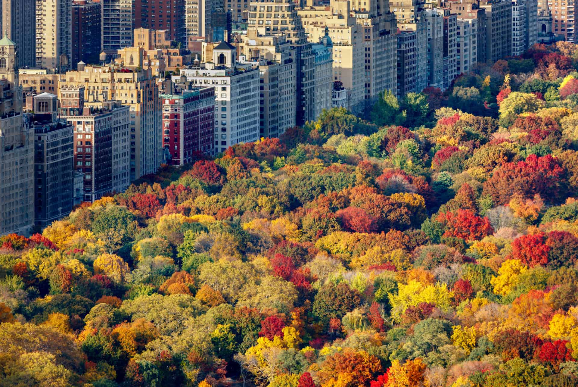 que faire new york automne que faire new york automne