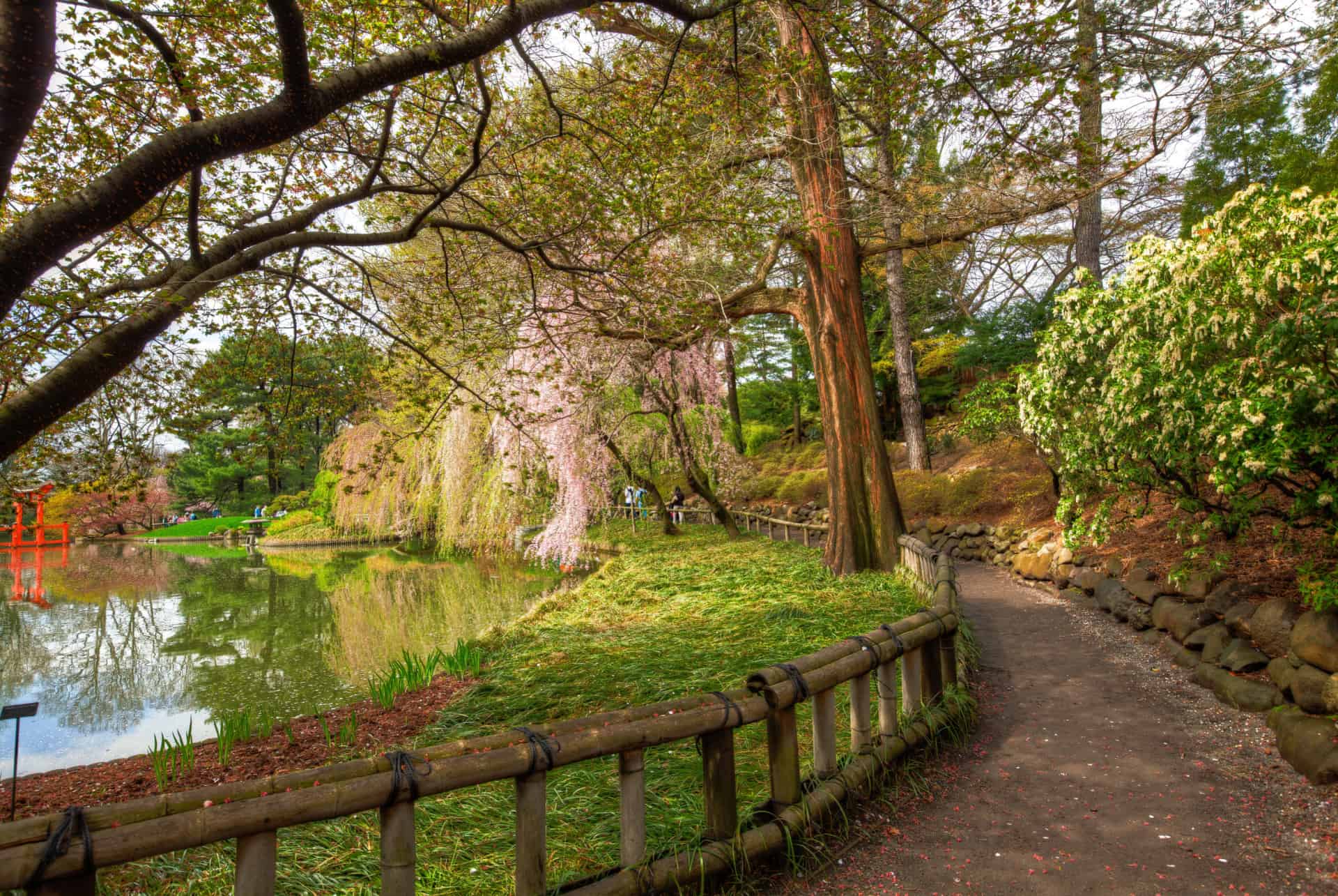 comment visiter botanical garden comment visiter botanical garden