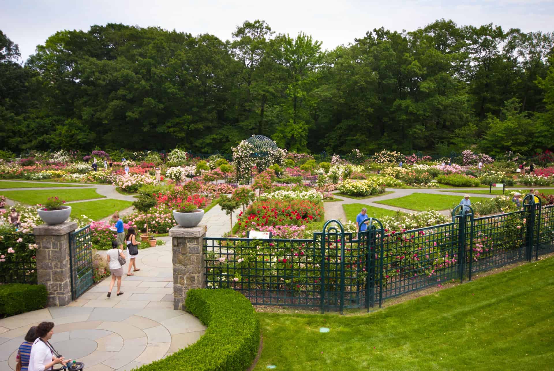 jardin botanique de new york jardin botanique de new york