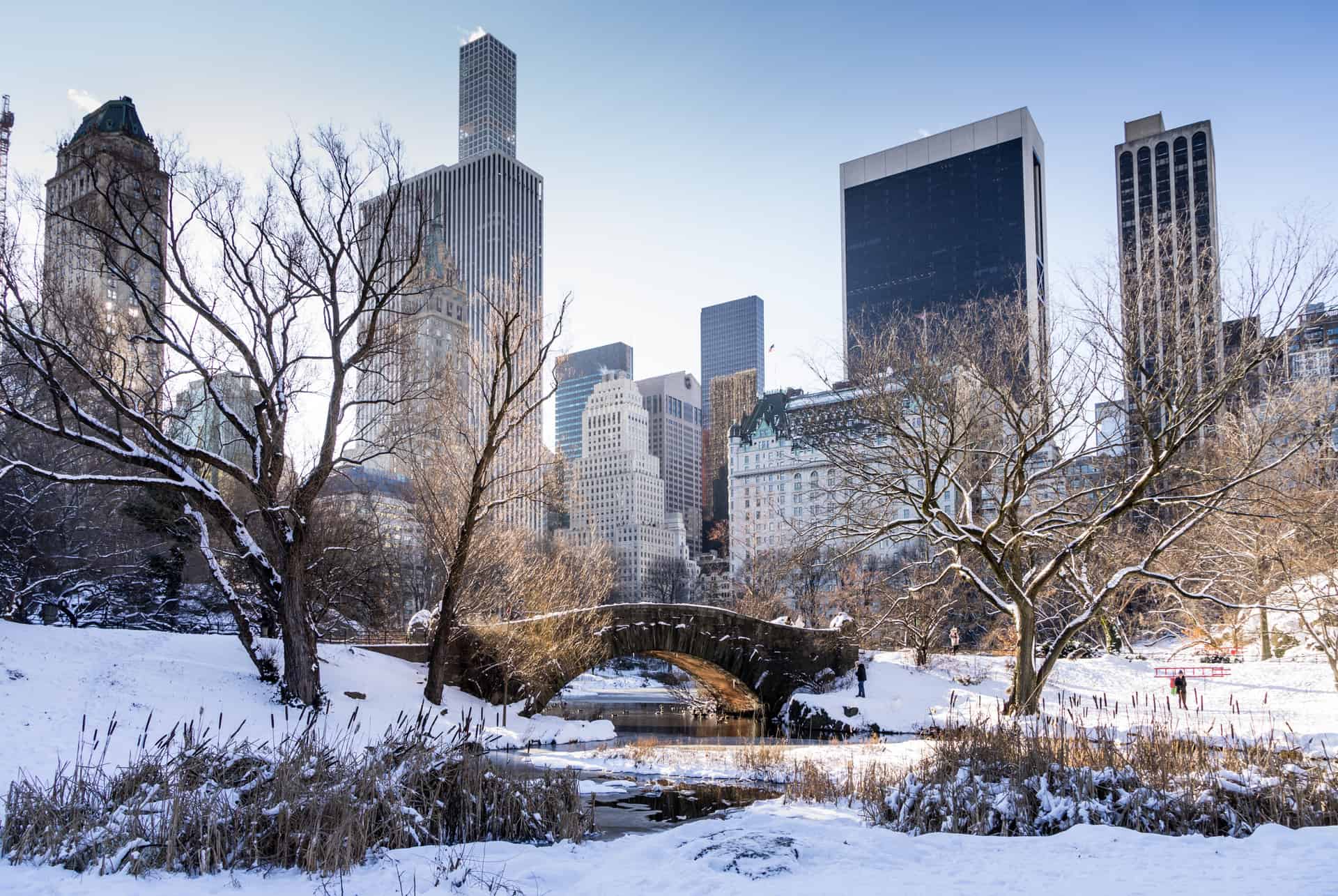new york en janvier new york en janvier
