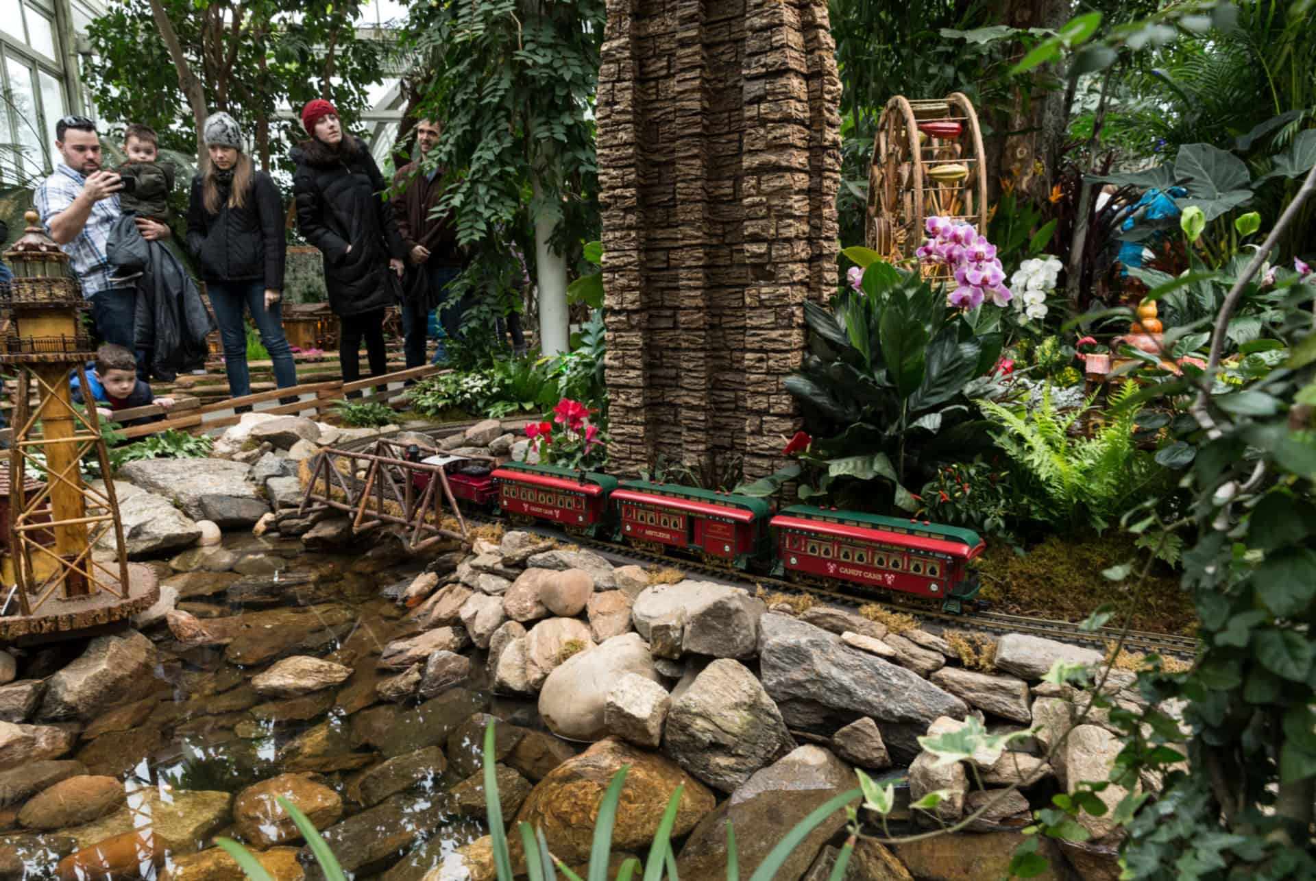 train show and glow train show and glow