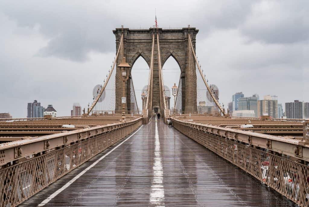 Visite guidée de Brooklyn Bridge et DUMBO