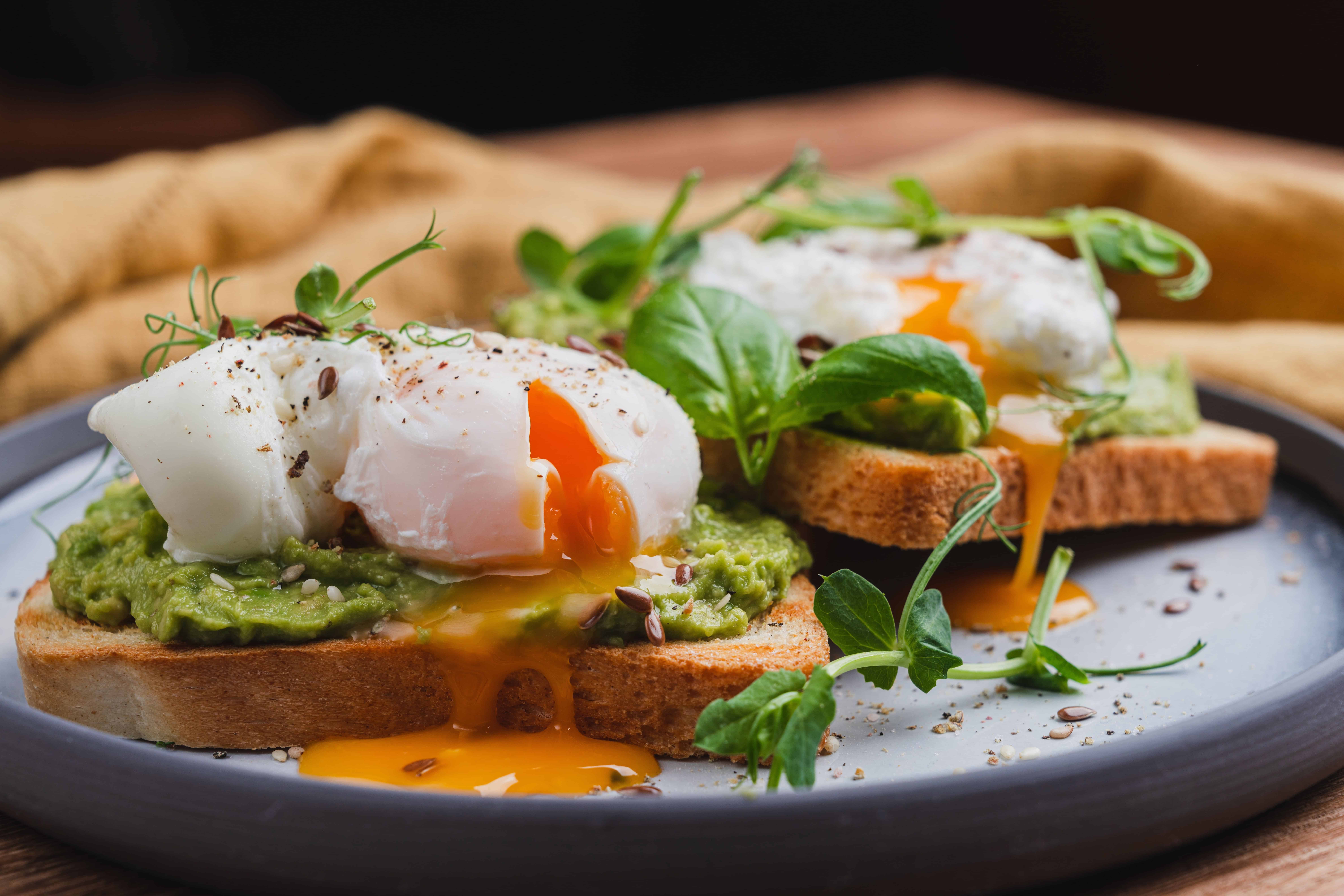 avocado toast brunch avocado toast brunch