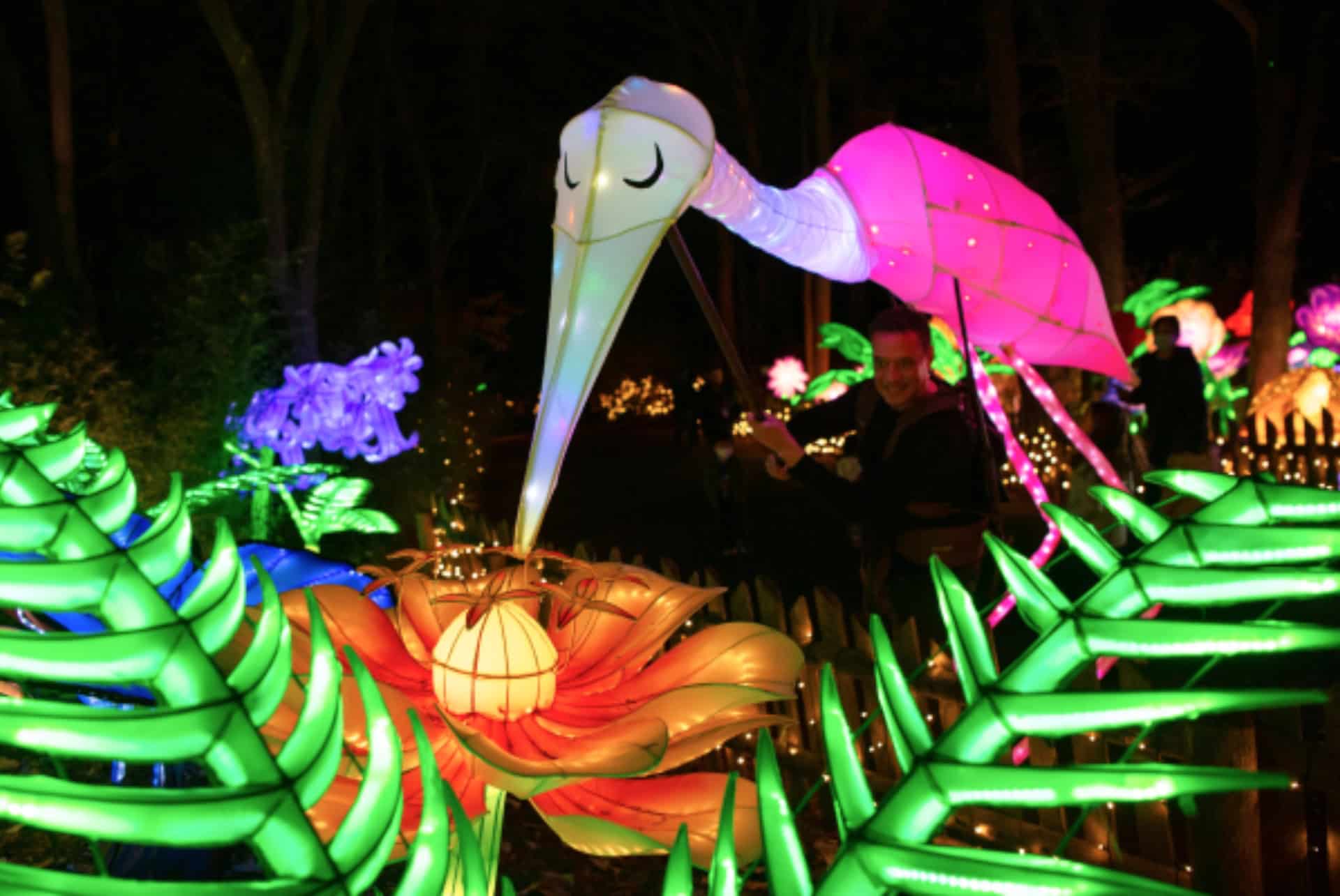 holiday lights festival noel a new york
