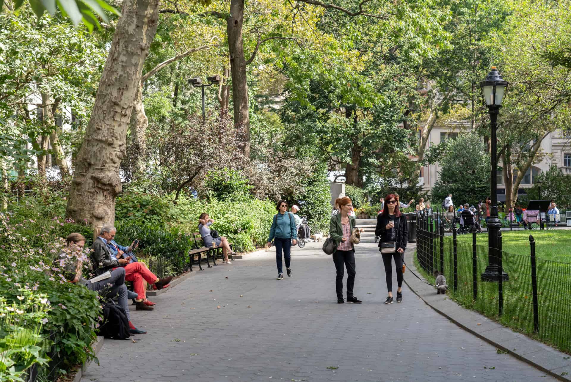 allee madison square park